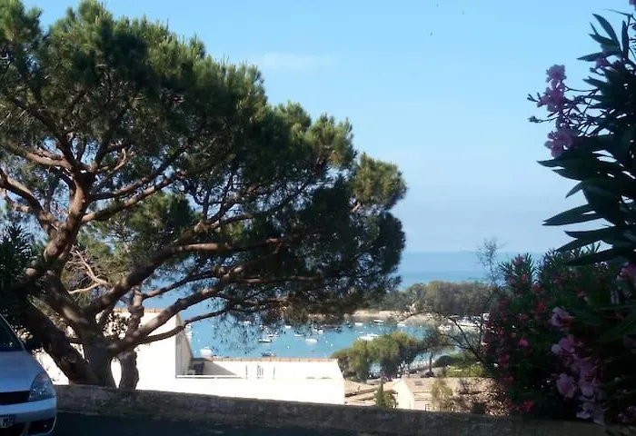 Vue Et Montagnes Jacuzzi 300m Plages * Αζάτσιο